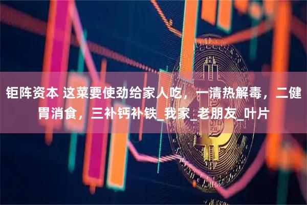 钜阵资本 这菜要使劲给家人吃，一清热解毒，二健胃消食，三补钙补铁_我家_老朋友_叶片