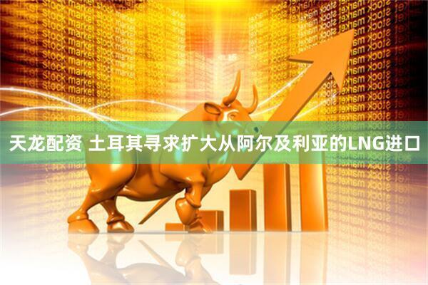 天龙配资 土耳其寻求扩大从阿尔及利亚的LNG进口